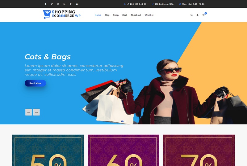 Shopping Ecommerce WP