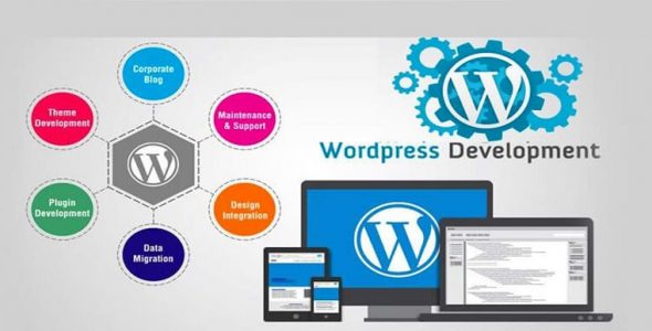 Best WordPress Website Development Service