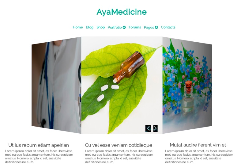 AyaMedicine Free Ayurveda WordPress Theme