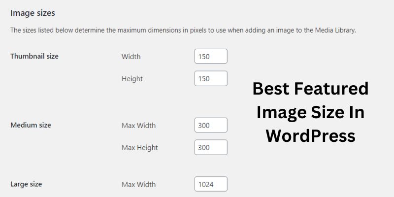 Best Featured Image Size In WordPress