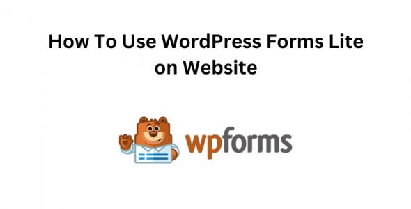 How To Use WordPress Forms Lite on Website