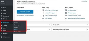 How to Hide Author Name In Blog Posts WordPress