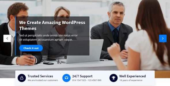 Clean Code WordPress Themes