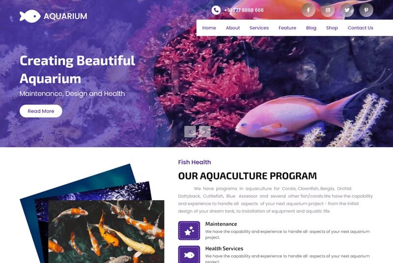 Fish Aquarium Shop WordPress Theme