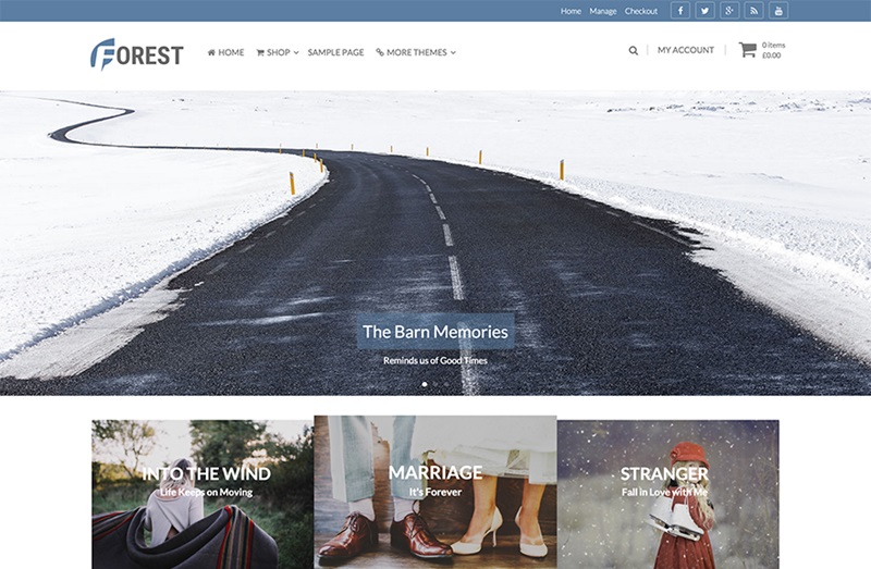 Forest WordPress Theme