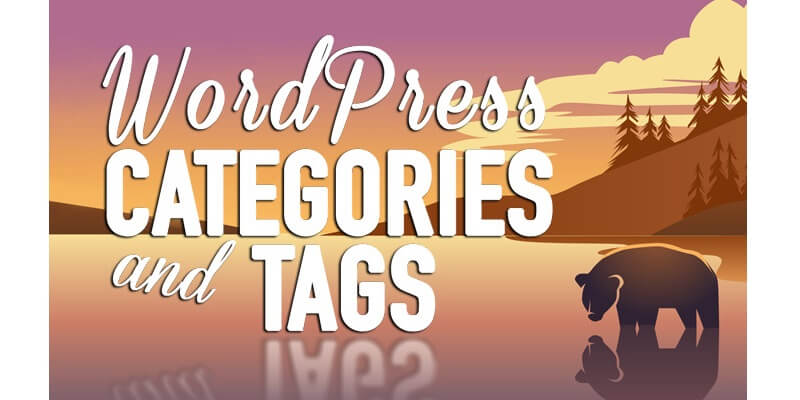 Leveraging WordPress categories, tags, and breadcrumbs