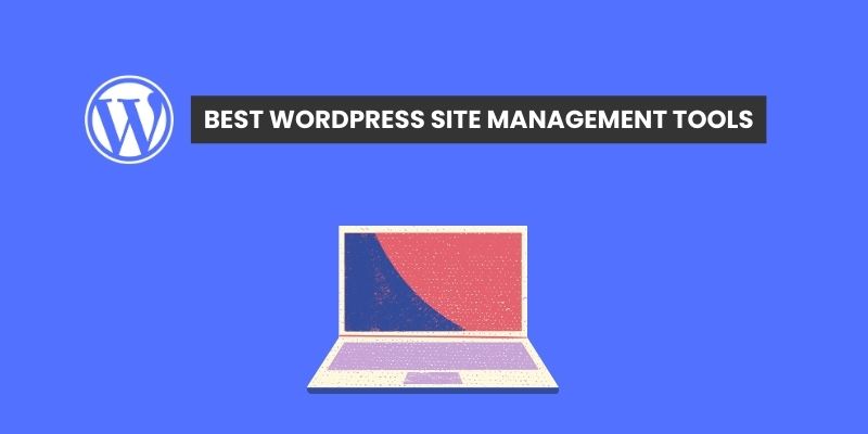 Best WordPress Site Management Tools