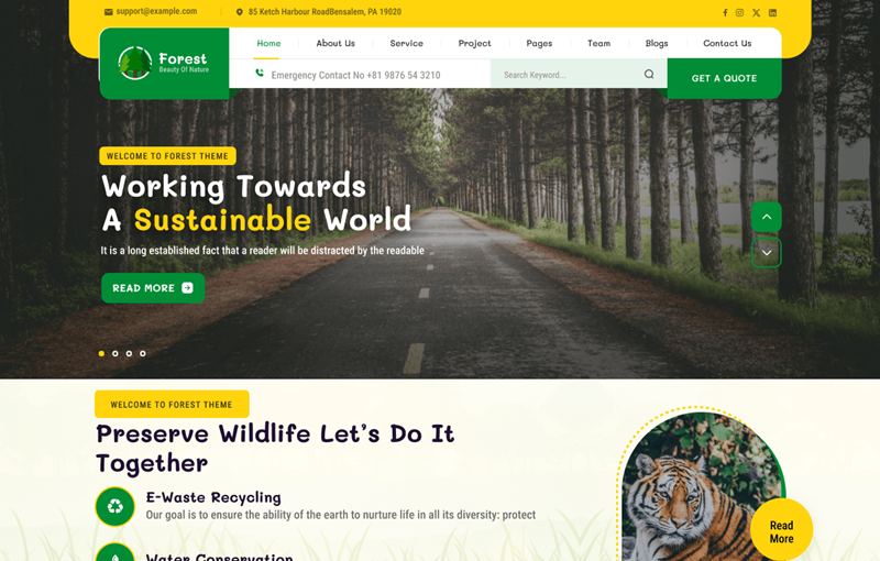 Forest Eco Nature
