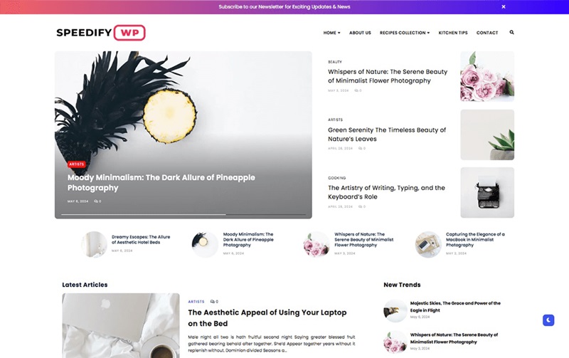 Speedify Clean Code Theme for WordPress