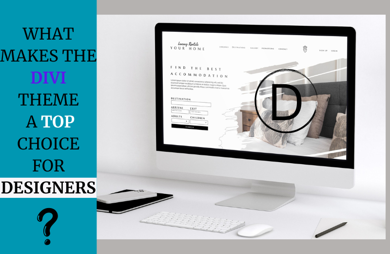 What Makes the Divi Theme a Top Choice for Designers?