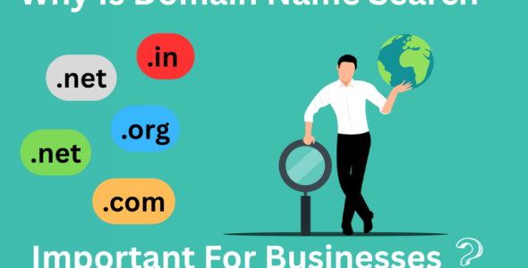 Domain Name Search