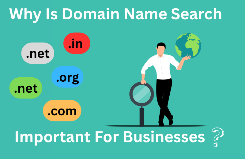 Domain Name Search