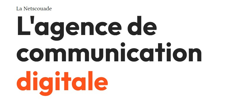 La Netscouade