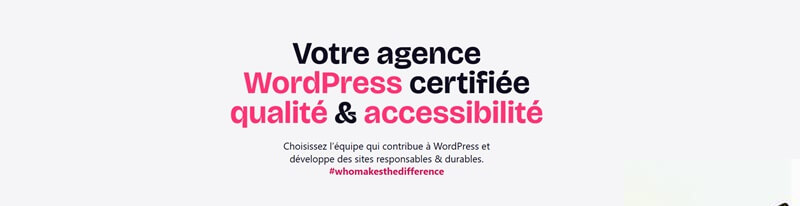 Whodunit WordPress Agencies in France